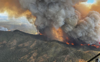 Oak Incident – July 22, 2022